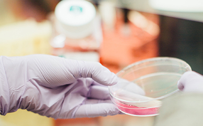 LEO FOUNDATION AWARDS