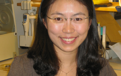 Excellence in wound healing leads to the LEO Foundation Award