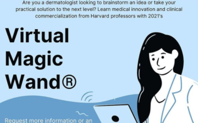 European Virtual Magic Wand educational program