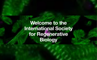 Promoting Science for Skin Regeneration