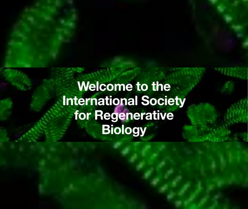 INTERNATIONAL SOCIETY FOR REGENERATIVE BIOLOGY