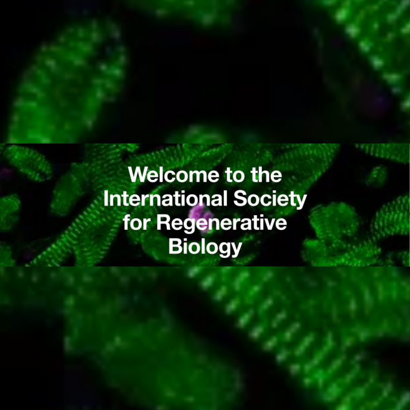 INTERNATIONAL SOCIETY FOR REGENERATIVE BIOLOGY