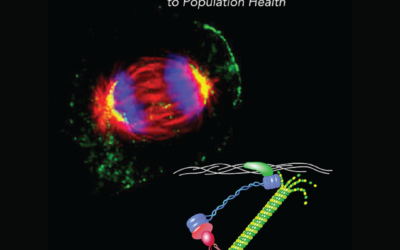 Explore the joy of scientific questioning and discovery in the inaugural issue of JID Innovations.