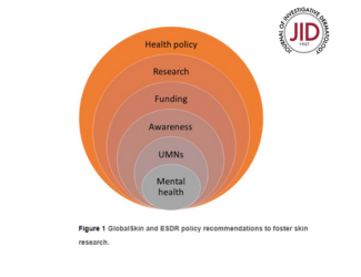 “A European Roundtable “Addressing Under-Prioritized Skin Diseases: Policy Responses to High-Burden Conditions”